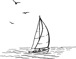 Shape